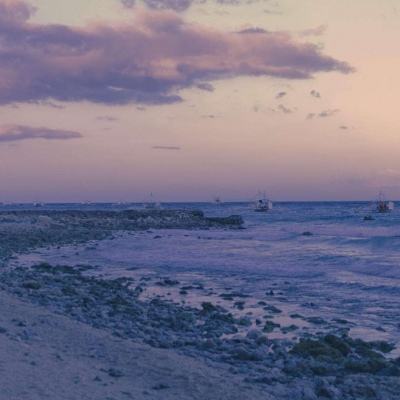 单机的打鱼游戏手机app下载