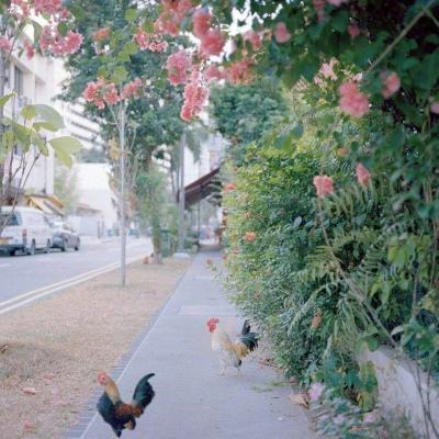 kaiyun登录入口登录