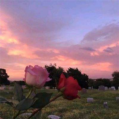 乐鱼·(LEYU)体育官方网站