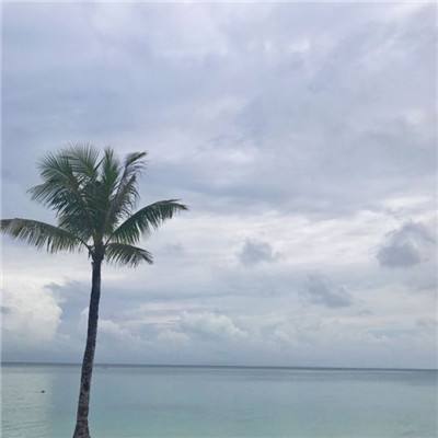 半岛平台官方网站入口