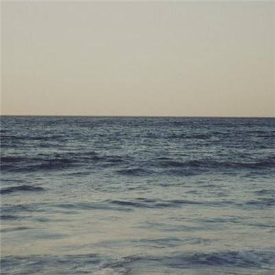 半岛平台官方网站入口截图