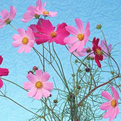 华体育手机app下载