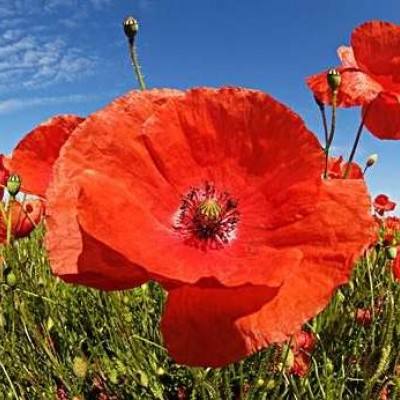 万博全站ManBetX4.79下载下载手机版