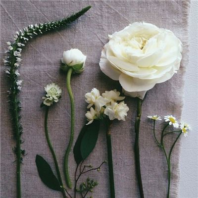 彩神lllv入口手机app下载