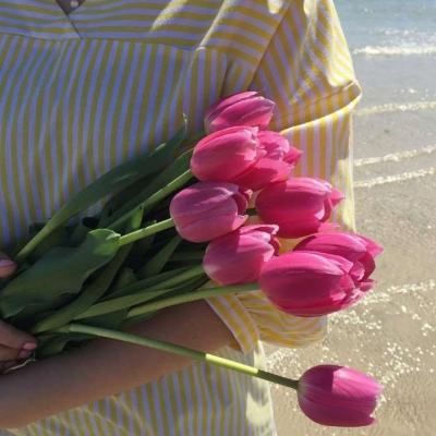 金沙乐娱场app下载手机app下载