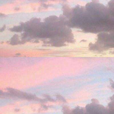 雷竞技app官方版下载