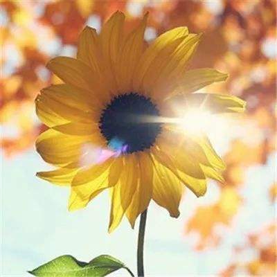 万博全站ManBetX4.79下载下载手机版